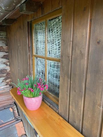 Ferienhaus Irene FDH Kültér fotó